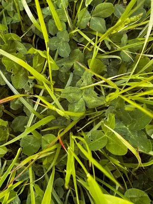 Find #18692
