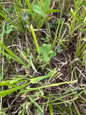 Nález #21420