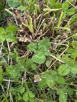 Find #21289