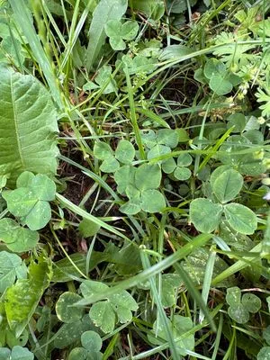 Nález #21044