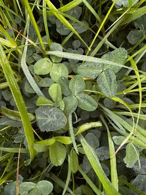 Find #18770