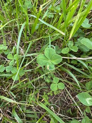Nález #23180