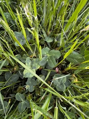 Find #19022