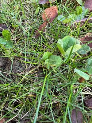Find #342
