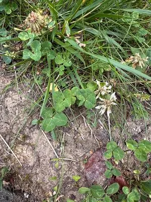 Nález #23778 – ZLÍN_JSVAHY-UTB-U5-002