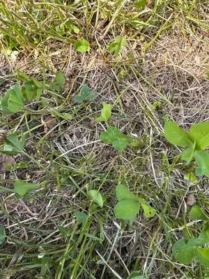 Nález #23763 – ZLÍN_HLUBOKÁ001