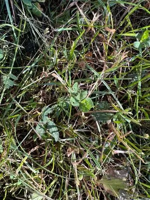 Nález #23838 – ZLÍN_JSVAHY-STŘEDOVÁ001
