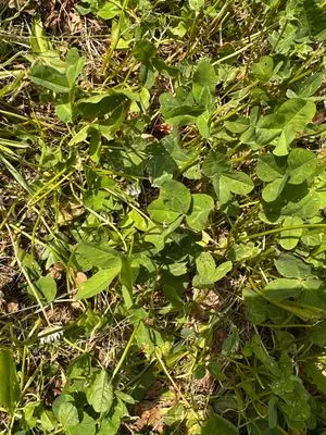 Nález #23764 – ZLÍN_HLUBOKÁ001